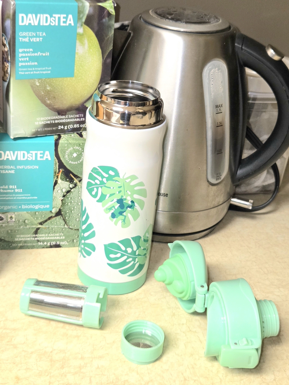 DAVIDsTEA Vintage Lock Top Tumbler - Featuring Green Monstera Leaves & Teal Frog